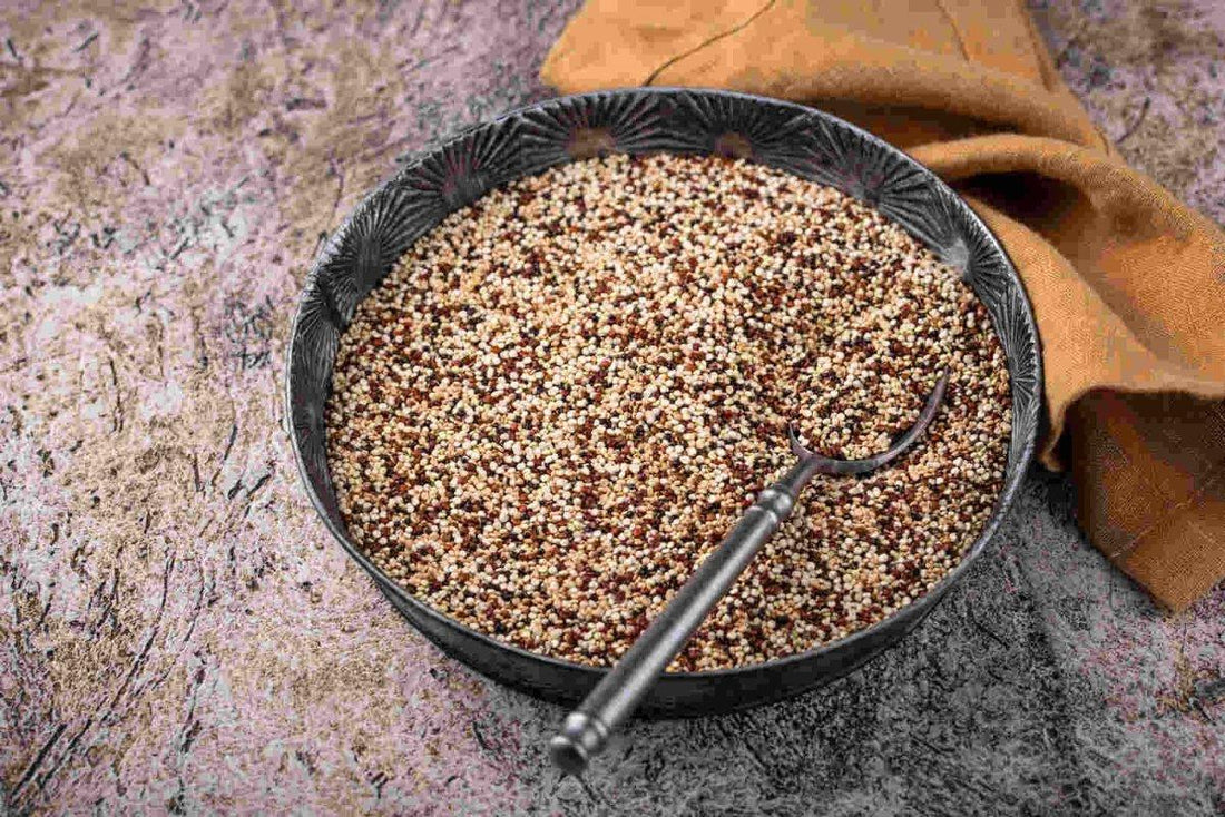 Quinoa Meaning in Urdu and Its Benefits in 2024 - Gold Tree Millers