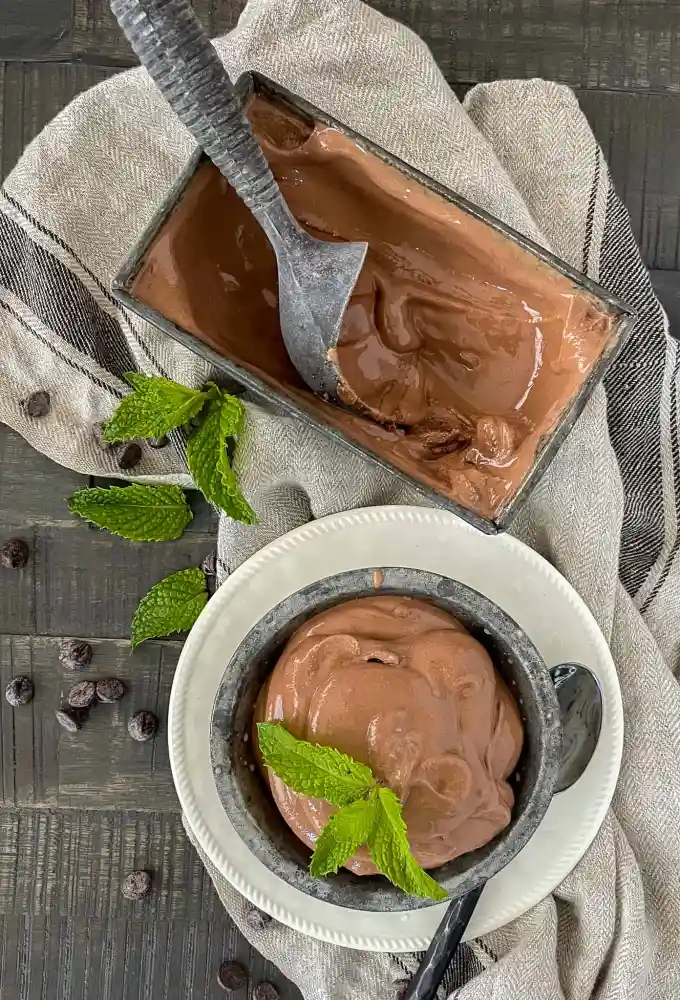 How to make delicious Chocolate Ice Cream using Cocoa Powder